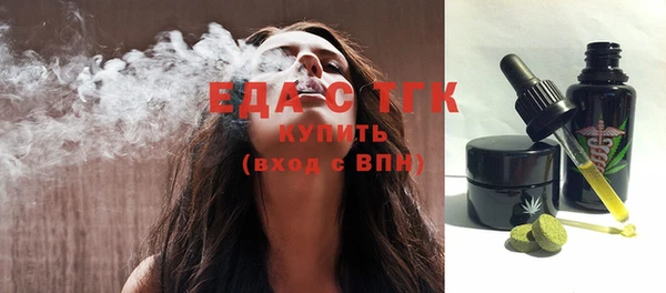 молекула духа Ельня