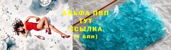 молекула духа Ельня