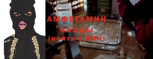 молекула духа Ельня