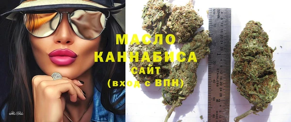 молекула духа Ельня