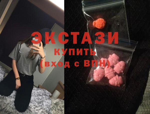 молекула духа Ельня