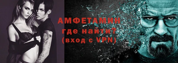 молекула духа Ельня