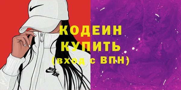 молекула духа Ельня