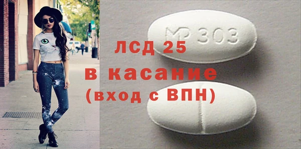 молекула духа Ельня