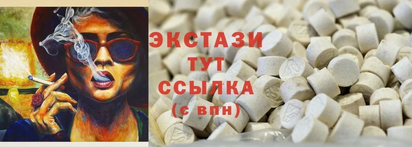 молекула духа Ельня