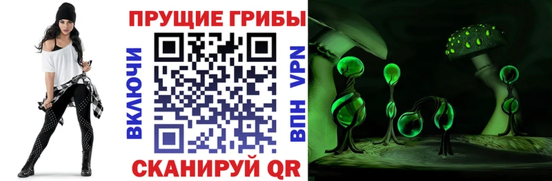 кракен ссылки  Сольвычегодск  Псилоцибиновые грибы Magic Shrooms 